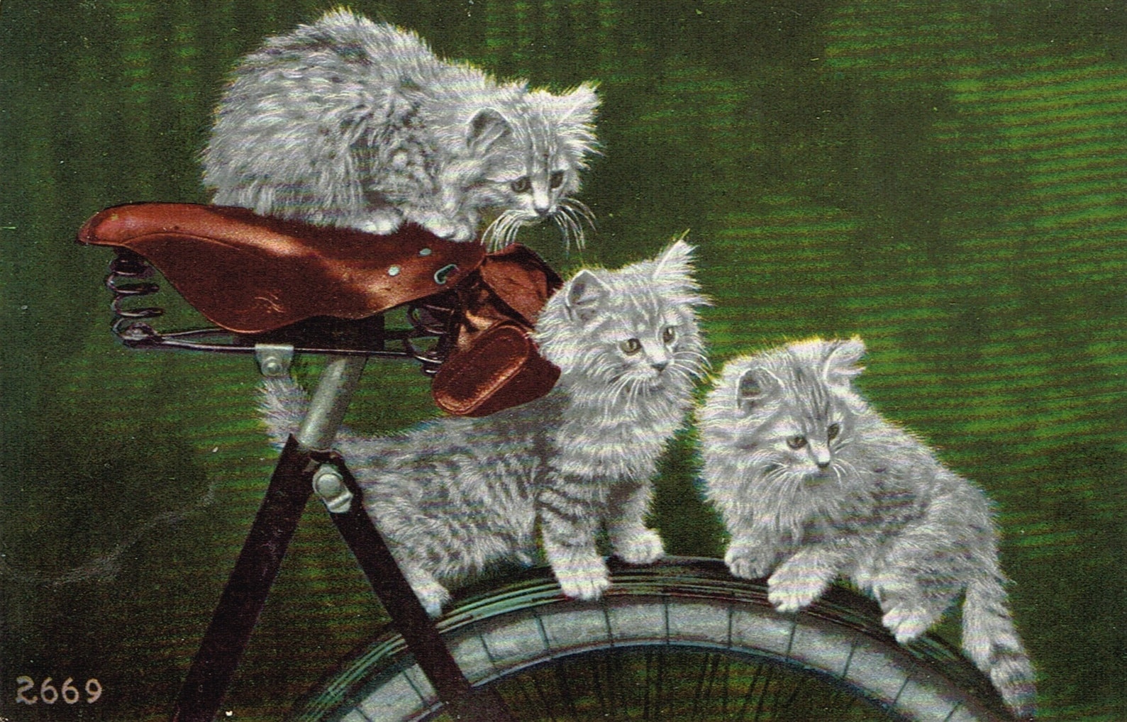 HOW DO I FIND THE RIGHT BIKE SEAT FOR ME? – Three cats on a bicycle answer the question by helping you to find your purrfect saddle.