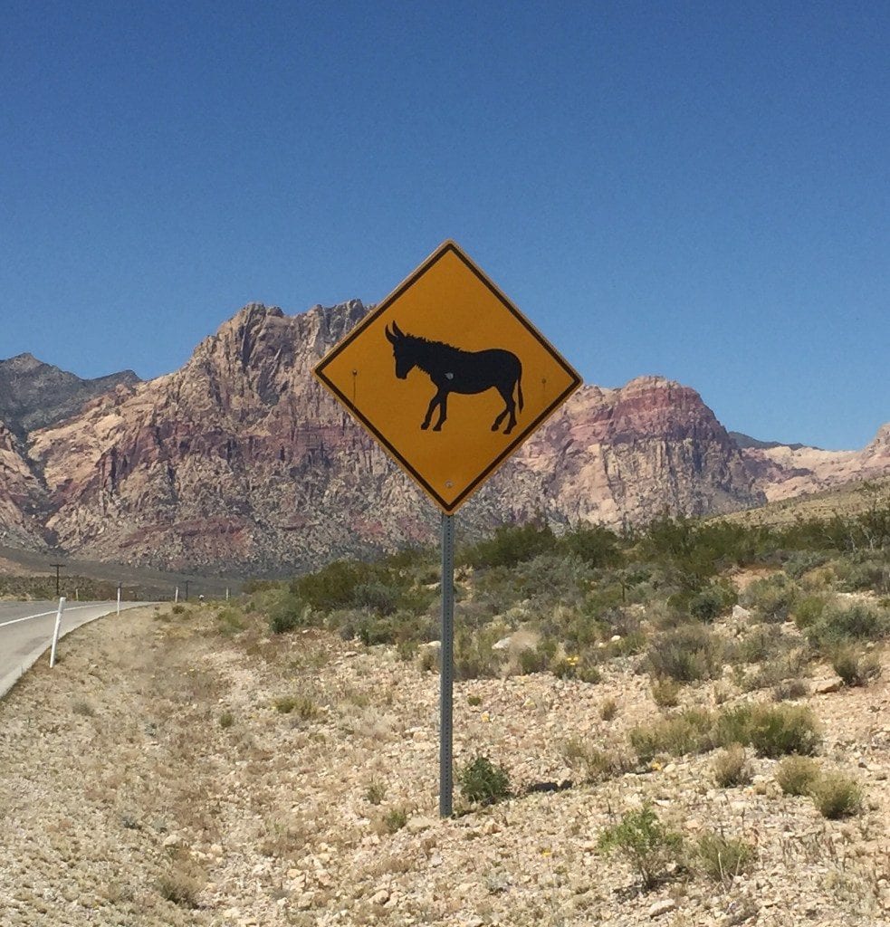 Sign warning of wildlife in Death Valley California, with multi-colored mountains in the background