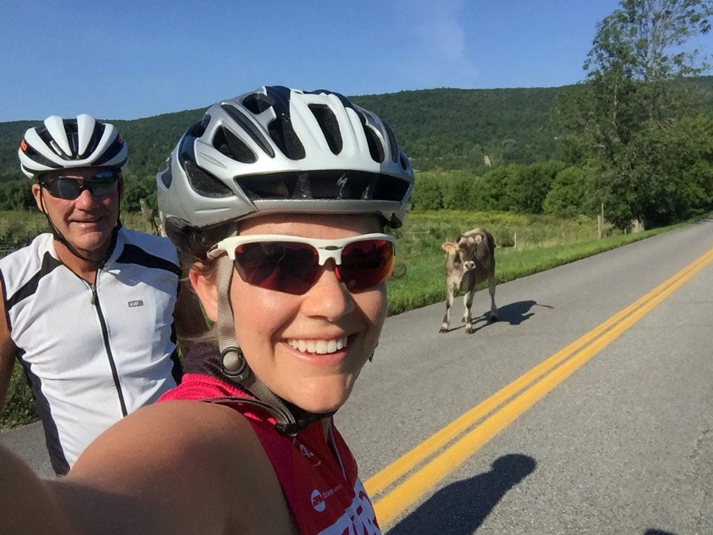Celebrating cycling dads on father's day – Photo of Dave with daughter encountering a cow on the road in rural Vermont