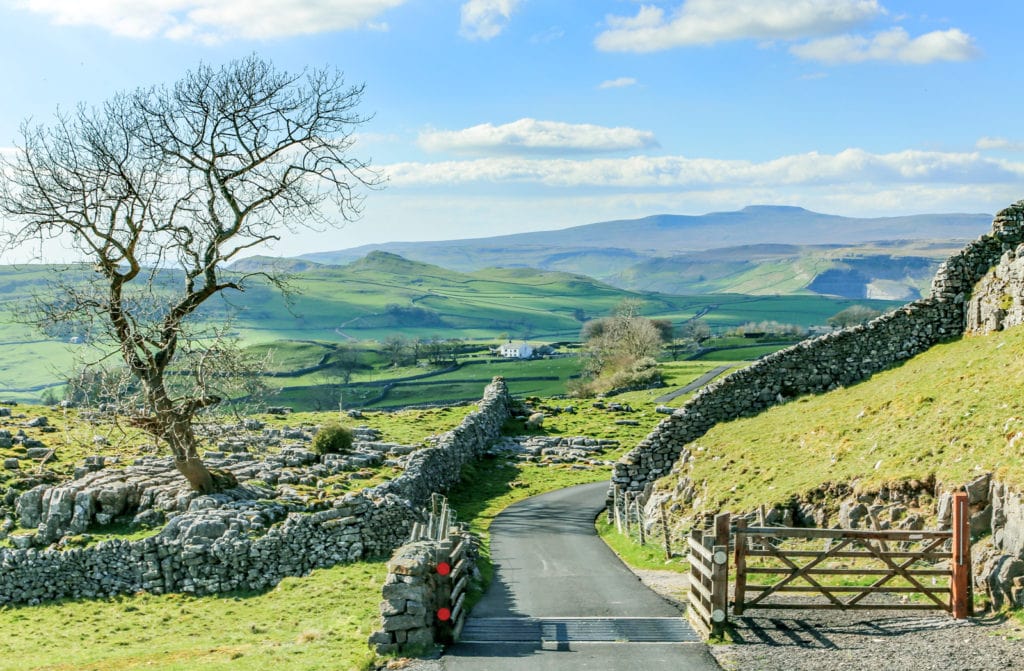 Photo of a view of the Yorkshire Dales, looking at a quiet road with farm gate and cattle grid, with one of the great fells in the background