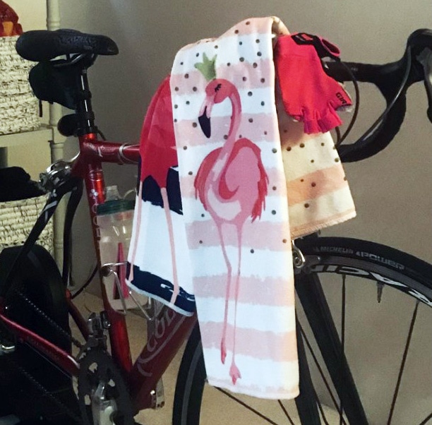 Spin towels with a pink flamingo theme to protect Lisa's indoor bike setup.