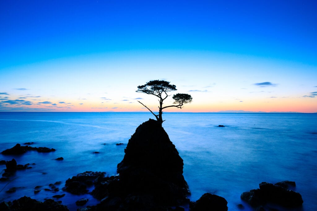 a tree growing at the summit of a prominent rock silhouetted against the sunset over the ocean on Sado Island, Japan
